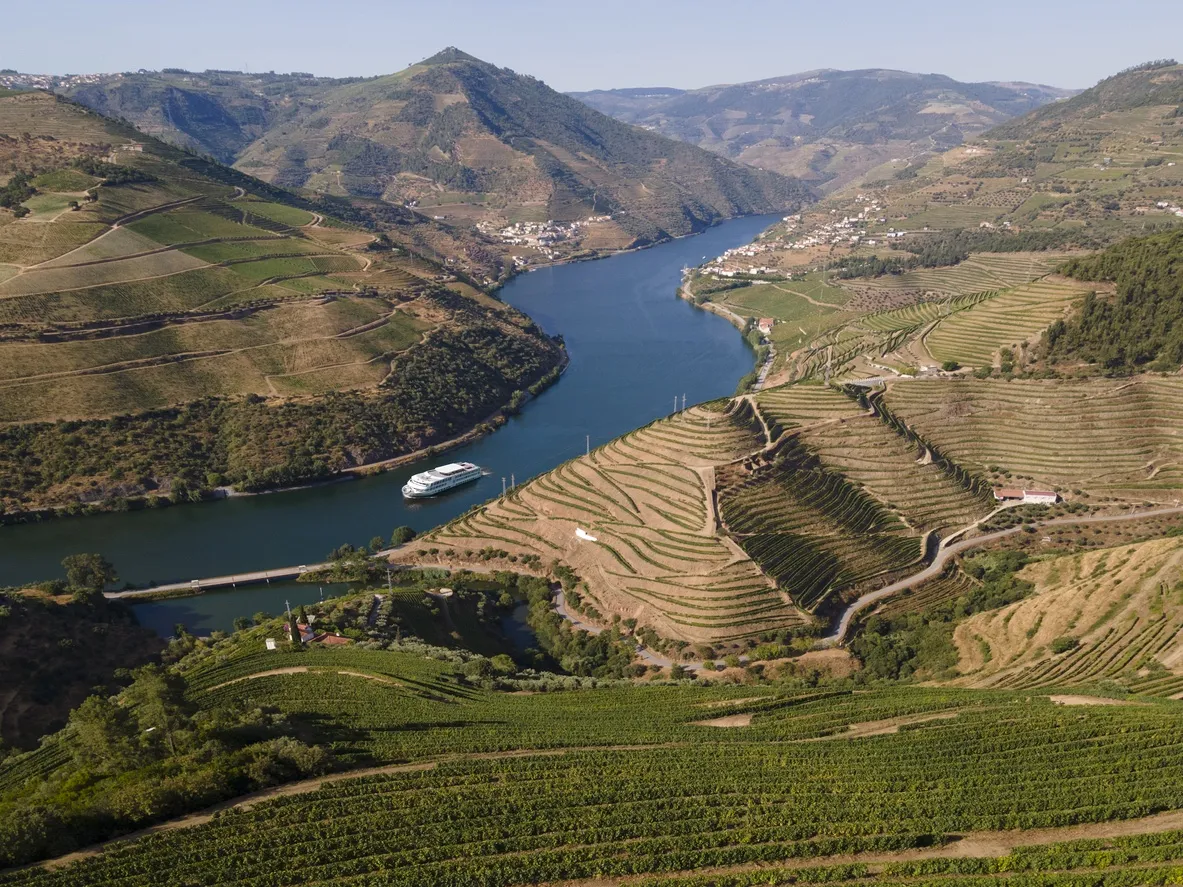 Casa do Douro: Uma pessoa coletiva pública?